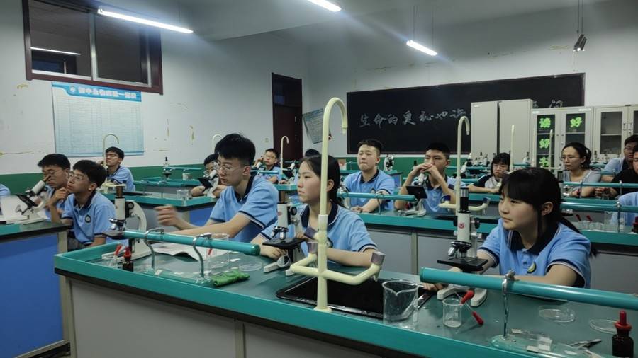 生物实验.jpg
